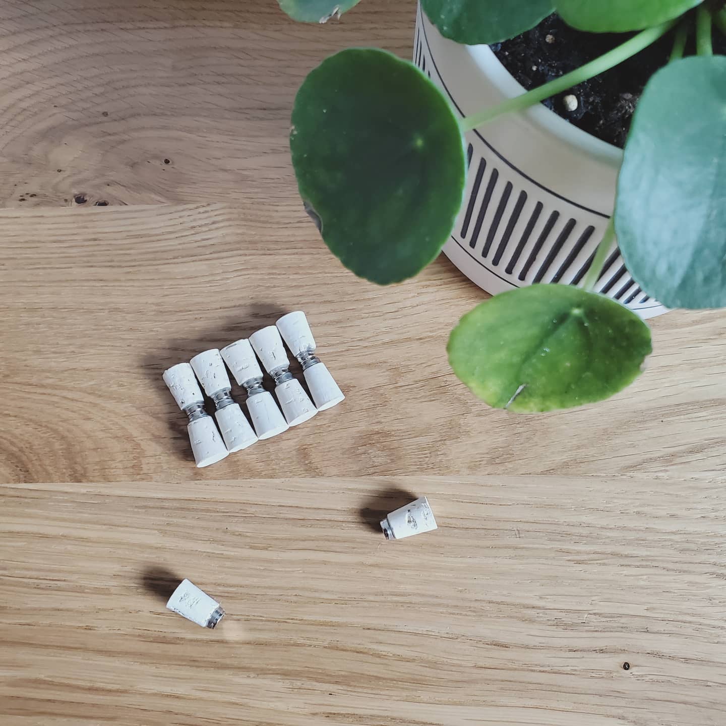 SMALL OG Pin Magnets