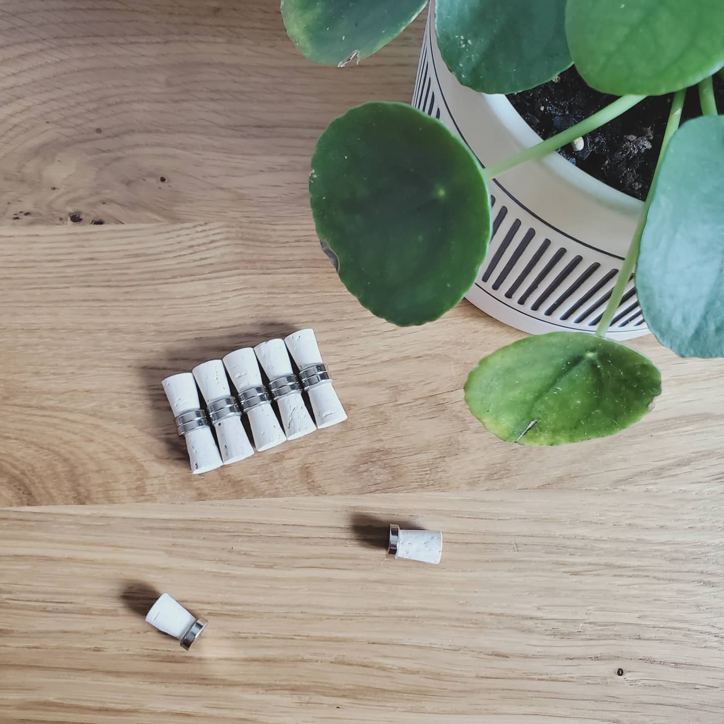 LARGE OG Pin Magnets